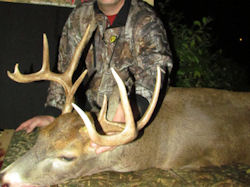 Kentucky deer hunting, western kentucky deer hunting, deer hunting, hunting, archery, Whitetail deer hunting, west ky whitetail hunting, kentucky whitetail outfitters, boone & crocket, food plots, deer food plots, chickory plots, lodging