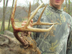 Kentucky deer hunting, western kentucky deer hunting, deer hunting, hunting, archery, Whitetail deer hunting, west ky whitetail hunting, kentucky whitetail outfitters, boone & crocket, food plots, deer food plots, chickory plots, lodging