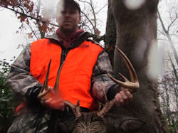Kentucky deer hunting, western kentucky deer hunting, deer hunting, hunting, archery, Whitetail deer hunting, west ky whitetail hunting, kentucky whitetail outfitters, boone & crocket, food plots, deer food plots, chickory plots, lodging