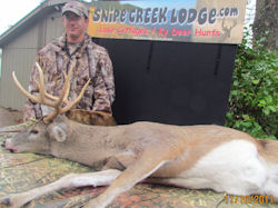 Kentucky deer hunting, western kentucky deer hunting, deer hunting, hunting, archery, Whitetail deer hunting, west ky whitetail hunting, kentucky whitetail outfitters, boone & crocket, food plots, deer food plots, chickory plots, lodging