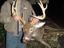 Kentucky deer hunting, western kentucky deer hunting, deer hunting, hunting, archery, Whitetail deer hunting, west ky whitetail hunting, kentucky whitetail outfitters, boone & crocket, food plots, deer food plots, chickory plots, lodging