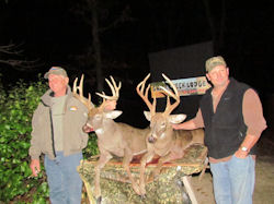 Kentucky deer hunting, western kentucky deer hunting, deer hunting, hunting, archery, Whitetail deer hunting, west ky whitetail hunting, kentucky whitetail outfitters, boone & crocket, food plots, deer food plots, chickory plots, lodging