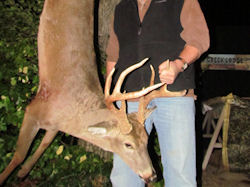 Kentucky deer hunting, western kentucky deer hunting, deer hunting, hunting, archery, Whitetail deer hunting, west ky whitetail hunting, kentucky whitetail outfitters, boone & crocket, food plots, deer food plots, chickory plots, lodging