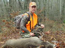 Kentucky deer hunting, western kentucky deer hunting, deer hunting, hunting, archery, Whitetail deer hunting, west ky whitetail hunting, kentucky whitetail outfitters, boone & crocket, food plots, deer food plots, chickory plots, lodging