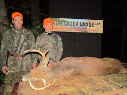 Kentucky deer hunting, western kentucky deer hunting, deer hunting, hunting, archery, Whitetail deer hunting, west ky whitetail hunting, kentucky whitetail outfitters, boone & crocket, food plots, deer food plots, chickory plots, lodging