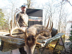 Kentucky deer hunting, western kentucky deer hunting, deer hunting, hunting, archery, Whitetail deer hunting, west ky whitetail hunting, kentucky whitetail outfitters, boone & crocket, food plots, deer food plots, chickory plots, lodging