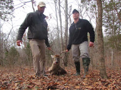 Kentucky deer hunting, western kentucky deer hunting, deer hunting, hunting, archery, Whitetail deer hunting, west ky whitetail hunting, kentucky whitetail outfitters, boone & crocket, food plots, deer food plots, chickory plots, lodging