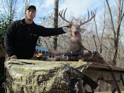 Kentucky deer hunting, western kentucky deer hunting, deer hunting, hunting, archery, Whitetail deer hunting, west ky whitetail hunting, kentucky whitetail outfitters, boone & crocket, food plots, deer food plots, chickory plots, lodging