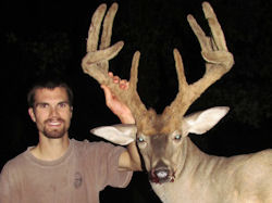 Kentucky deer hunting, western kentucky deer hunting, deer hunting, hunting, archery, Whitetail deer hunting, west ky whitetail hunting, kentucky whitetail outfitters, boone & crocket, food plots, deer food plots, chickory plots, lodging