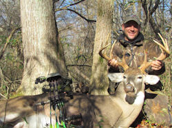 Kentucky deer hunting, western kentucky deer hunting, deer hunting, hunting, archery, Whitetail deer hunting, west ky whitetail hunting, kentucky whitetail outfitters, boone & crocket, food plots, deer food plots, chickory plots, lodging