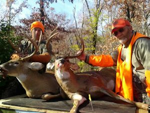 Kentucky deer hunting, western kentucky deer hunting, deer hunting, hunting, archery, Whitetail deer hunting, west ky whitetail hunting, kentucky whitetail outfitters, boone & crocket, food plots, deer food plots, chickory plots, lodging