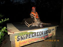 Kentucky deer hunting, western kentucky deer hunting, deer hunting, hunting, archery, Whitetail deer hunting, west ky whitetail hunting, kentucky whitetail outfitters, boone & crocket, food plots, deer food plots, chickory plots, lodging