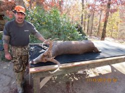 Kentucky deer hunting, western kentucky deer hunting, deer hunting, hunting, archery, Whitetail deer hunting, west ky whitetail hunting, kentucky whitetail outfitters, boone & crocket, food plots, deer food plots, chickory plots, lodging