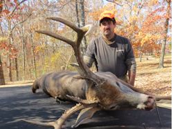 Kentucky deer hunting, western kentucky deer hunting, deer hunting, hunting, archery, Whitetail deer hunting, west ky whitetail hunting, kentucky whitetail outfitters, boone & crocket, food plots, deer food plots, chickory plots, lodging