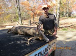Kentucky deer hunting, western kentucky deer hunting, deer hunting, hunting, archery, Whitetail deer hunting, west ky whitetail hunting, kentucky whitetail outfitters, boone & crocket, food plots, deer food plots, chickory plots, lodging