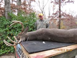Kentucky deer hunting, western kentucky deer hunting, deer hunting, hunting, archery, Whitetail deer hunting, west ky whitetail hunting, kentucky whitetail outfitters, boone & crocket, food plots, deer food plots, chickory plots, lodging