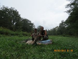 Kentucky deer hunting, western kentucky deer hunting, deer hunting, hunting, archery, Whitetail deer hunting, west ky whitetail hunting, kentucky whitetail outfitters, boone & crocket, food plots, deer food plots, chickory plots, lodging