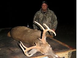 Kentucky deer hunting, western kentucky deer hunting, deer hunting, hunting, archery, Whitetail deer hunting, west ky whitetail hunting, kentucky whitetail outfitters, boone & crocket, food plots, deer food plots, chickory plots, lodging
