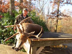 Kentucky deer hunting, western kentucky deer hunting, deer hunting, hunting, archery, Whitetail deer hunting, west ky whitetail hunting, kentucky whitetail outfitters, boone & crocket, food plots, deer food plots, chickory plots, lodging