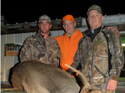 Kentucky deer hunting, western kentucky deer hunting, deer hunting, hunting, archery, Whitetail deer hunting, west ky whitetail hunting, kentucky whitetail outfitters, boone & crocket, food plots, deer food plots, chickory plots, lodging