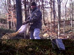Kentucky deer hunting, western kentucky deer hunting, deer hunting, hunting, archery, Whitetail deer hunting, west ky whitetail hunting, kentucky whitetail outfitters, boone & crocket