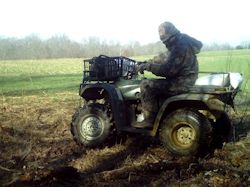 Kentucky deer hunting, western kentucky deer hunting, deer hunting, hunting, archery, Whitetail deer hunting, west ky whitetail hunting, kentucky whitetail outfitters, boone & crocket