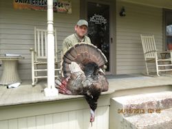 Kentucky turkey hunting, turkey hunts, ky turkey hunting, kentucky turkey hunting guide, places to hunt turkey in kentucky, where to hunt turkey in kentucky, western kentucky turkey hunts, turkey inventory, snipe creek turkey hunts, snipe creek hunting lodge turkey, kentucky turkey hunting spots