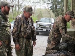 Kentucky turkey hunting, turkey hunts, ky turkey hunting, kentucky turkey hunting guide, places to hunt turkey in kentucky, where to hunt turkey in kentucky, western kentucky turkey hunts, turkey inventory, snipe creek turkey hunts, snipe creek hunting lodge turkey, kentucky turkey hunting spots