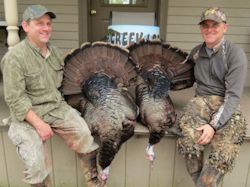 Kentucky turkey hunting, turkey hunts, ky turkey hunting, kentucky turkey hunting guide, places to hunt turkey in kentucky, where to hunt turkey in kentucky, western kentucky turkey hunts, turkey inventory, snipe creek turkey hunts, snipe creek hunting lodge turkey, kentucky turkey hunting spots