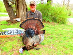 Kentucky turkey hunting, turkey hunts, ky turkey hunting, kentucky turkey hunting guide, places to hunt turkey in kentucky, where to hunt turkey in kentucky, western kentucky turkey hunts, turkey inventory, snipe creek turkey hunts, snipe creek hunting lodge turkey, kentucky turkey hunting spots