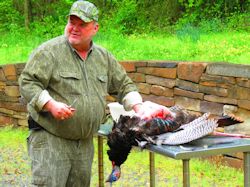 Kentucky turkey hunting, turkey hunts, ky turkey hunting, kentucky turkey hunting guide, places to hunt turkey in kentucky, where to hunt turkey in kentucky, western kentucky turkey hunts, turkey inventory, snipe creek turkey hunts, snipe creek hunting lodge turkey, kentucky turkey hunting spots