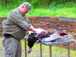 Kentucky turkey hunting, turkey hunts, ky turkey hunting, kentucky turkey hunting guide, places to hunt turkey in kentucky, where to hunt turkey in kentucky, western kentucky turkey hunts, turkey inventory, snipe creek turkey hunts, snipe creek hunting lodge turkey, kentucky turkey hunting spots