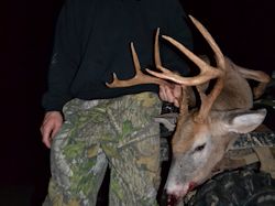 Kentucky deer hunting, western kentucky deer hunting, deer hunting, hunting, archery, Whitetail deer hunting, west ky whitetail hunting, kentucky whitetail outfitters, boone & crocket, food plots, deer food plots, chickory plots, lodging