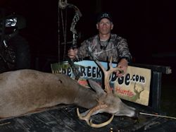 Kentucky deer hunting, western kentucky deer hunting, deer hunting, hunting, archery, Whitetail deer hunting, west ky whitetail hunting, kentucky whitetail outfitters, boone & crocket, food plots, deer food plots, chickory plots, lodging