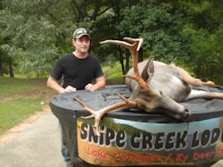 Kentucky deer hunting, western kentucky deer hunting, deer hunting, hunting, archery, Whitetail deer hunting, west ky whitetail hunting, kentucky whitetail outfitters, boone & crocket, food plots, deer food plots, chickory plots, lodging