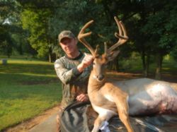 Kentucky deer hunting, western kentucky deer hunting, deer hunting, hunting, archery, Whitetail deer hunting, west ky whitetail hunting, kentucky whitetail outfitters, boone & crocket, food plots, deer food plots, chickory plots, lodging