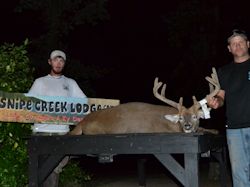 Kentucky deer hunting, western kentucky deer hunting, deer hunting, hunting, archery, Whitetail deer hunting, west ky whitetail hunting, kentucky whitetail outfitters, boone & crocket, food plots, deer food plots, chickory plots, lodging