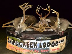 Kentucky deer hunting, western kentucky deer hunting, deer hunting, hunting, archery, Whitetail deer hunting, west ky whitetail hunting, kentucky whitetail outfitters, boone & crocket, food plots, deer food plots, chickory plots, lodging