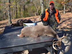 Kentucky deer hunting, western kentucky deer hunting, deer hunting, hunting, archery, Whitetail deer hunting, west ky whitetail hunting, kentucky whitetail outfitters, boone & crocket, food plots, deer food plots, chickory plots, lodging