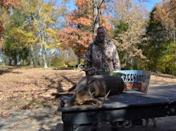 Kentucky deer hunting, western kentucky deer hunting, deer hunting, hunting, archery, Whitetail deer hunting, west ky whitetail hunting, kentucky whitetail outfitters, boone & crocket, food plots, deer food plots, chickory plots, lodging