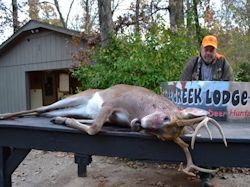 Kentucky deer hunting, western kentucky deer hunting, deer hunting, hunting, archery, Whitetail deer hunting, west ky whitetail hunting, kentucky whitetail outfitters, boone & crocket, food plots, deer food plots, chickory plots, lodging