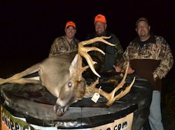 Kentucky deer hunting, western kentucky deer hunting, deer hunting, hunting, archery, Whitetail deer hunting, west ky whitetail hunting, kentucky whitetail outfitters, boone & crocket, food plots, deer food plots, chickory plots, lodging