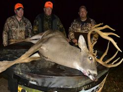Kentucky deer hunting, western kentucky deer hunting, deer hunting, hunting, archery, Whitetail deer hunting, west ky whitetail hunting, kentucky whitetail outfitters, boone & crocket, food plots, deer food plots, chickory plots, lodging