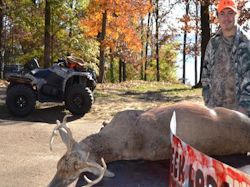 Kentucky deer hunting, western kentucky deer hunting, deer hunting, hunting, archery, Whitetail deer hunting, west ky whitetail hunting, kentucky whitetail outfitters, boone & crocket, food plots, deer food plots, chickory plots, lodging