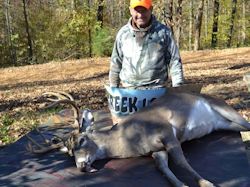 Kentucky deer hunting, western kentucky deer hunting, deer hunting, hunting, archery, Whitetail deer hunting, west ky whitetail hunting, kentucky whitetail outfitters, boone & crocket, food plots, deer food plots, chickory plots, lodging