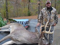 Kentucky deer hunting, western kentucky deer hunting, deer hunting, hunting, archery, Whitetail deer hunting, west ky whitetail hunting, kentucky whitetail outfitters, boone & crocket, food plots, deer food plots, chickory plots, lodging