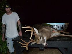 Kentucky deer hunting, western kentucky deer hunting, deer hunting, hunting, archery, Whitetail deer hunting, west ky whitetail hunting, kentucky whitetail outfitters, boone & crocket, food plots, deer food plots, chickory plots, lodging