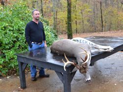 Kentucky deer hunting, western kentucky deer hunting, deer hunting, hunting, archery, Whitetail deer hunting, west ky whitetail hunting, kentucky whitetail outfitters, boone & crocket, food plots, deer food plots, chickory plots, lodging