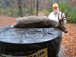 Kentucky deer hunting, western kentucky deer hunting, deer hunting, hunting, archery, Whitetail deer hunting, west ky whitetail hunting, kentucky whitetail outfitters, boone & crocket, food plots, deer food plots, chickory plots, lodging