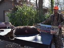 Kentucky deer hunting, western kentucky deer hunting, deer hunting, hunting, archery, Whitetail deer hunting, west ky whitetail hunting, kentucky whitetail outfitters, boone & crocket, food plots, deer food plots, chickory plots, lodging